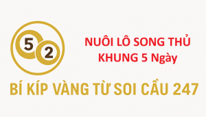 Nuôi Song Thủ Lô Khung 5 Ngày – Bí Kíp Vàng Từ Soi Cầu 247 Giúp Chơi Lô Không Lỗ
